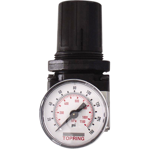 Regulators, 1" NPTF, 150 PSI Max. PSI, Modular