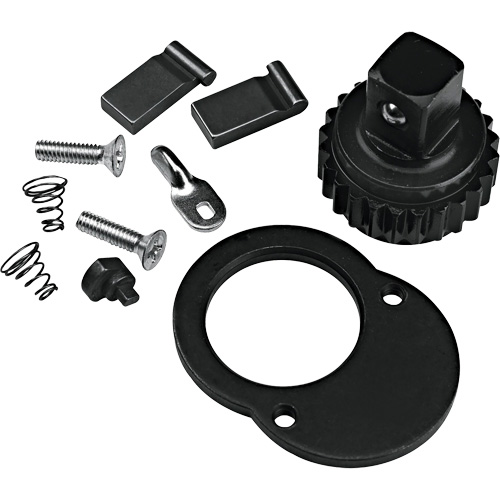 Ratchet Repair Kit