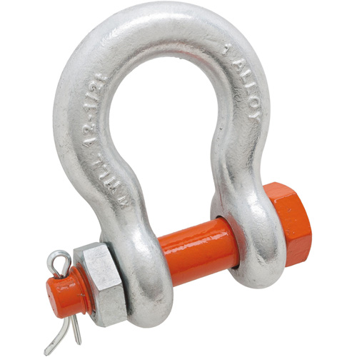 Forged Alloy Steel Anchor Shackle