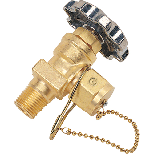 Station Valve with Dust Cap & Chain, Brass