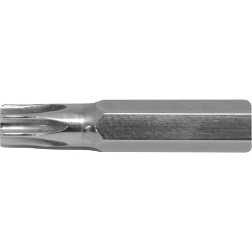 Stubby™ Multi-Bit Screwdriver -Replacement Bit, Torx, 10, 1/4" Drive