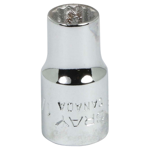 Socket, 1/4", 1/4" Drive, 12 Points