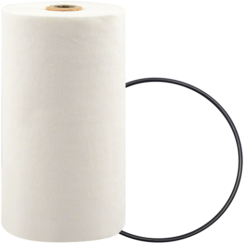 P7247 Spin-On Coolant Filter with BTE Formula