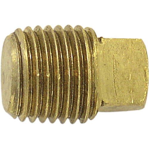 Pipe Plugs (Square Head), 1/4" Dia., Brass