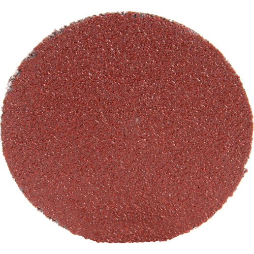 Roloc™ Disc 361F, 1-1/2" Dia., P100 Grit, Aluminum Oxide