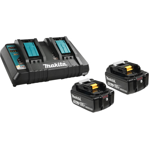 Li-Ion Battery & Dual-Port Charger Kit, 18 V, Lithium-Ion