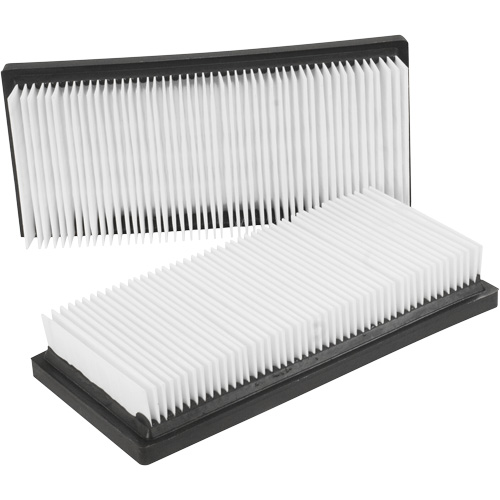 Main Flat Filters, Cartridge, Fits 12 US gal.