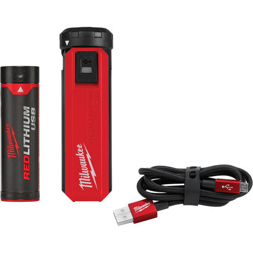 Redlithium™ USB Charger & Power Source Kit, 4 V, Lithium-Ion