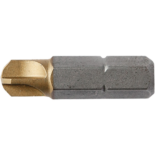 Insert Bit, Torq-Set®, 10, 1/4" Drive