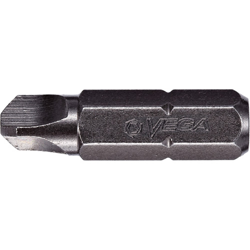 Insert Bit, Torq-Set®, 1/4", 1/4" Drive