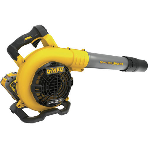 FlexVolt® Handheld Blower Kit