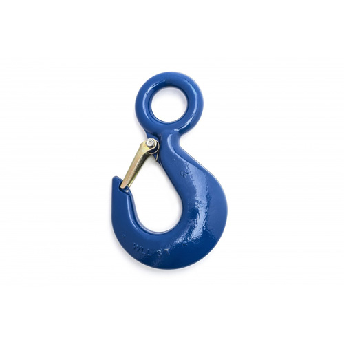 Hoist Hook