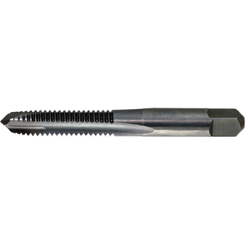 DRILLCO Spiral Point Tap, High Speed Steel, 12-24 Thread, 2-3/8" L