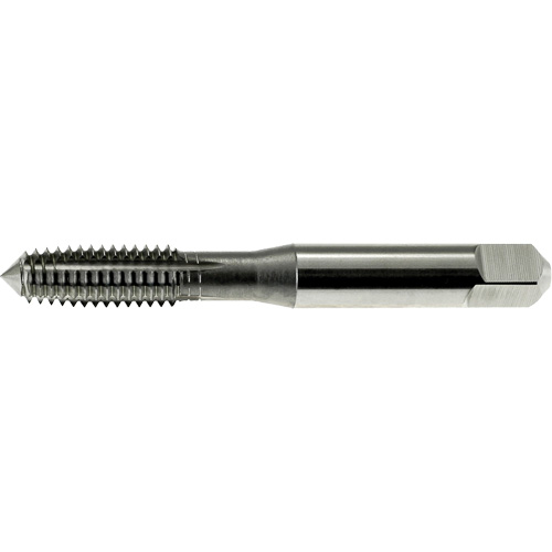DRILLCO Thread Forming Tap, High Speed Steel, 6-32 Thread