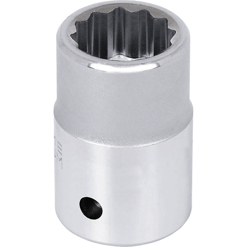 Chrome Socket, 21 mm, 3/4" Drive, 12 Points