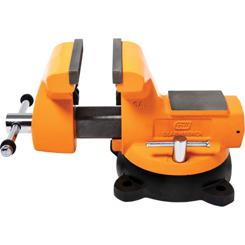 Mechanic's Bench Vise with Anvil, 6" Jaw Width