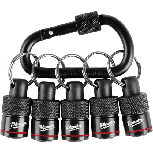 5-Piece Bit Holder with Carabiner