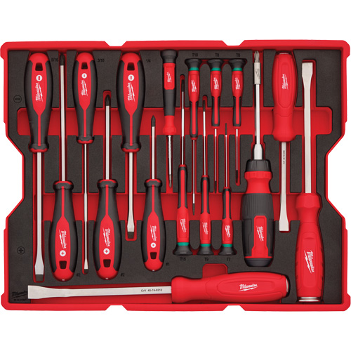 Screwdriver & Pry Bar Set with Tray for PACKOUT™ Drawers, 17, Magnetic