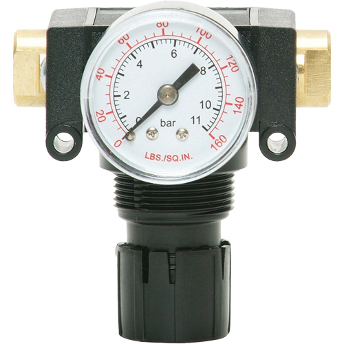 MODULAIR 200 Acetal Piston Regulator, 1/4" NPT, 150 PSI Max. PSI, In Line/Modular
