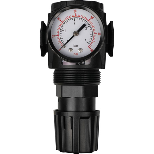 MODULAIR 300 Compressed Air Regulator, 1/2" NPT, 300 psi Max. PSI, In Line/Modular