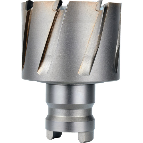 Quick Change Tang Drive Hawg® Cutter, 2" Diameter, Steel, 1" Depth of Cut