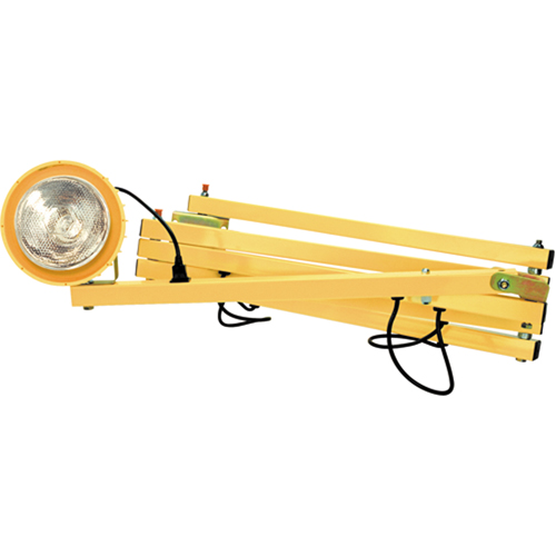 Dock Lights, Incandescent Light, 60" Arm