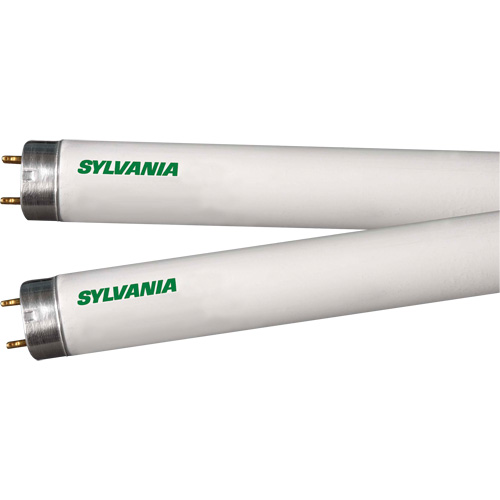 Fluorescent Lamps, 32 W, T8, 4100 K, 48" Long