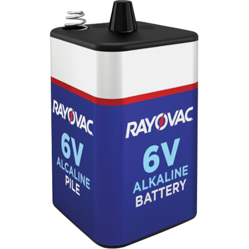 Alkaline Battery with Spring Terminals, D, 6