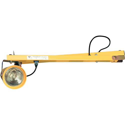 Dock Lights, 40" Arm, Incandescent Lamp, Polycarbonate