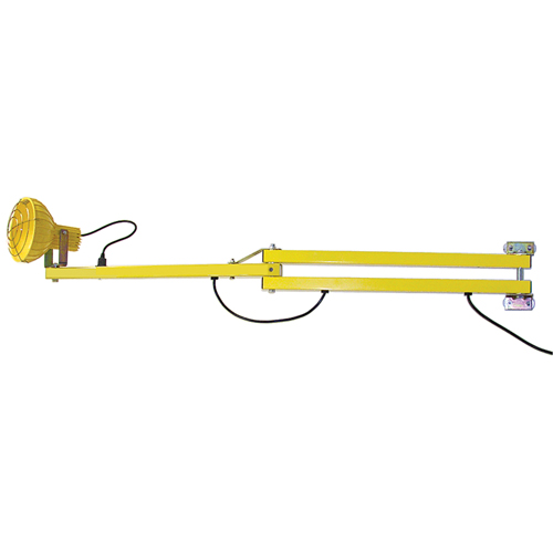 Dock Lights, Incandescent Light, 60" Arm