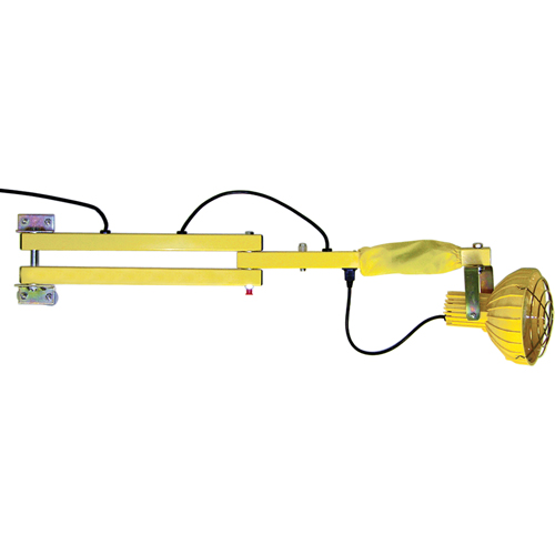 Dock Loading Lights with Flexible Arm, Incandescent Light, 60" Arm
