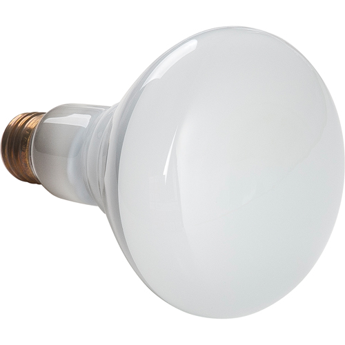 Economy Line Incandescent Lamps