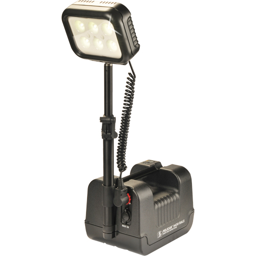9430 Remote Area Lighting Systems, LED, 3000 Lumens, Plastic Housing
