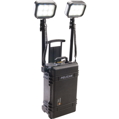 9460 Remote Area Lighting Systems, LED, 12,000 Lumens, Plastic Housing