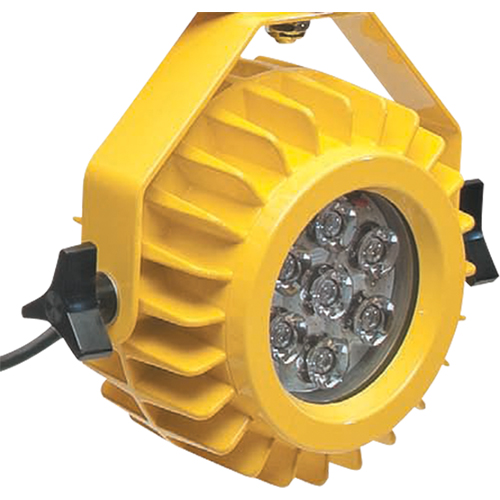 Heavy-Duty LED Dock Light - Head Only