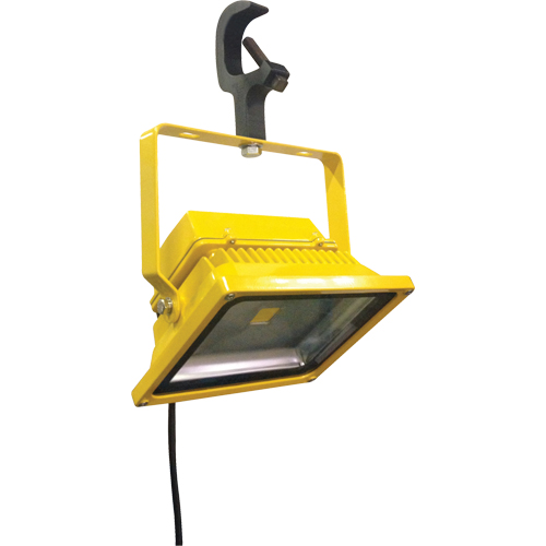Beacon Light Floodlights, LED, 40 W, 6000 Lumens, Aluminum Housing