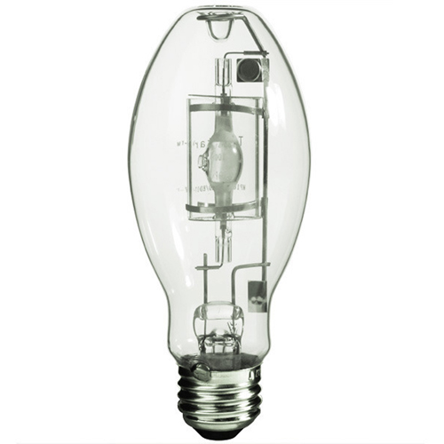 Work Light Bulb