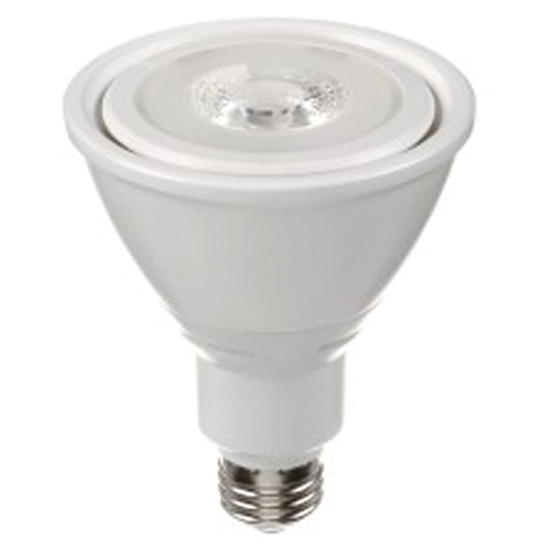 LED Bulb, PAR30, 10 W, 800 Lumens, Medium Base