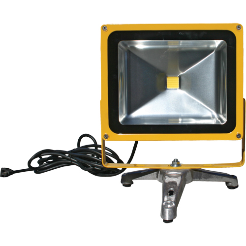 Rechargeable And Portable Floodlights, LED, 30 W, 3000 Lumens, Aluminum Housing