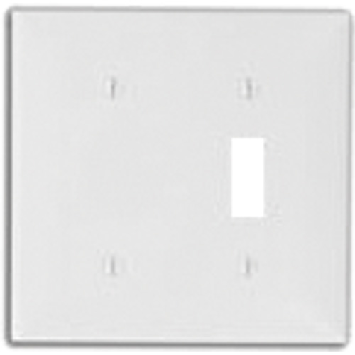 Combination Blank & Toggle Wallplate