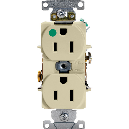 Hospital Grade Duplex Outlet