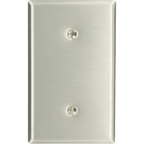 Blank Wallplate