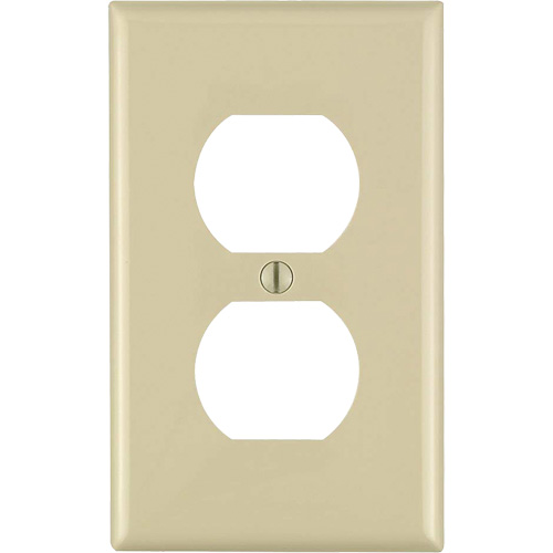 Duplex Wall Plate