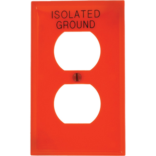 Duplex Wall Plate
