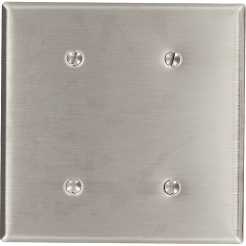 Blank Wallplate