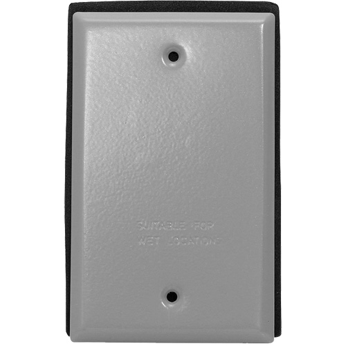 Blank Wallplate
