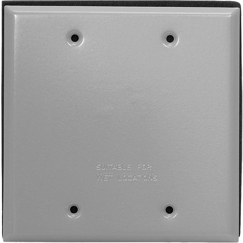 Blank Wallplate