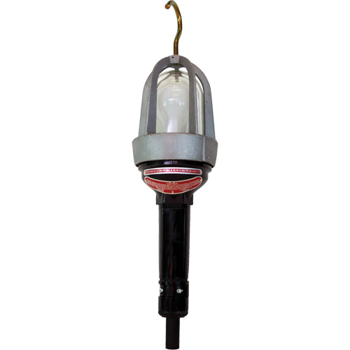 Hazardous Location Handlamp