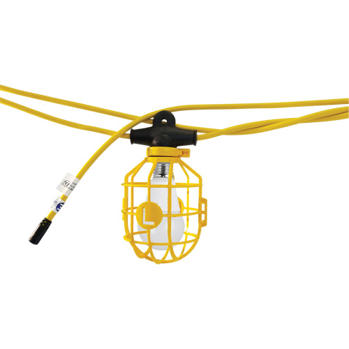 LED Bulb Stringlights, 10 Lights, 1200" L, Plastic Housing