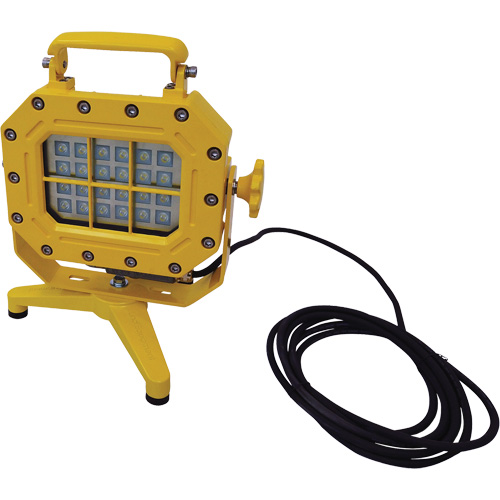 Explosion Proof Floodlight with Stand, LED, 40 W, 5600 Lumens, Aluminum Housing